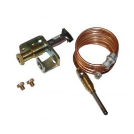 Raypak 003972F Standing Pilot Natural Gas Assembly