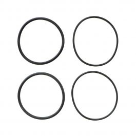 Raypak 006724F O-Ring Pack Of 4