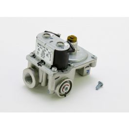 Raypak 007196F 24V 3.5 Inch Gas Valve
