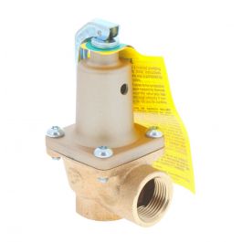 Raypak 007224F Pressure Relief Valve 3/4 Inch 125psi 1,700,000Btu