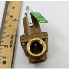 Raypak 007225F Relief Valve 3/4" NPT 150 PSI 2,445,000 BTU