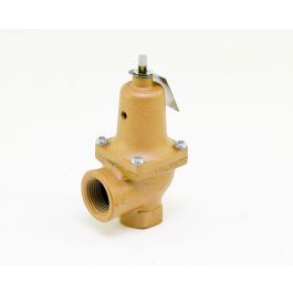 Raypak 007753F 3/4 Inch 60# Relief Valve