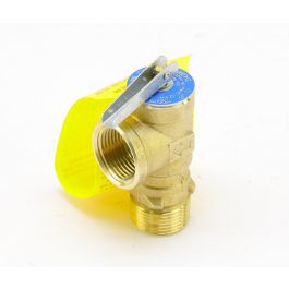 Raypak 008091F Pressure Relief Valve 125 PSI