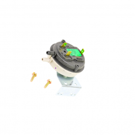Raypak 010355F Air Pressure Switch 0.25"