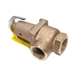 Watts 0121491 1" Pressure Relief Valve 1702000 BTU 60 PSI
