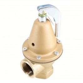 Watts 0121549 1-1/2" Relief Valve 150 PSI Lead-Free 7,630K BTU LF174A