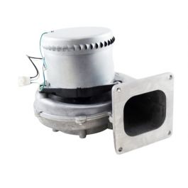 Raypak 012444F Inducer Assembly