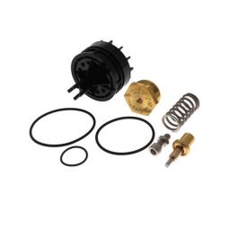 Watts 0125153 Repair Kit 1-1/4"/2" LFN170-M3