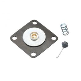 Watts 0125361 2-Way Regulator Repair Kit 26A-263A