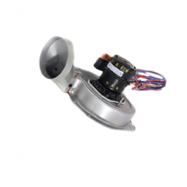 Amana-Goodman 0131G00009SP 230V1Ph 1/32Hp 3000Rpm Motor