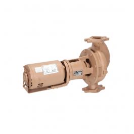 Raypak 018787F Stainless Steel In-line Pump Kit 115V