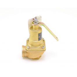 Kunkle Valve 0537-D01-AHM0030 3/4 Inch X1 Inch 30# 1054304 Btu Rlf Valve