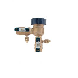Watts 0792012 1" Pressure Vacuum Breaker LF800M4QT