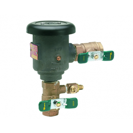Watts 0792025 3/4" Polycoat Vacuum Breaker LF008PCQT