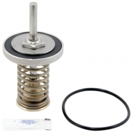 Watts 0794096 1St Check Repair Kit 2.5" & 3" Lead Free