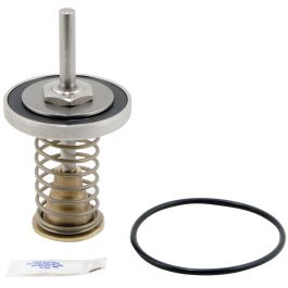 Watts 0794101 Second Check Repair Kit 2.5" & 3" Lead Free