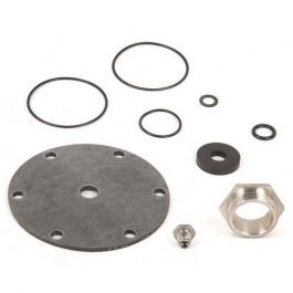 Watts 0864945 1.5" Repair Kit 25AUB-RK