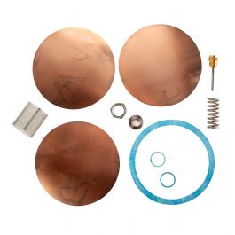 Watts 0875725 Pressure Regulator Repair Kit For 152A 1.5-2" Sizes