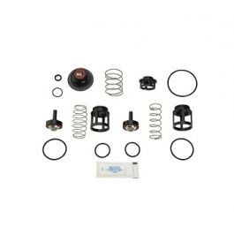 Watts 0888171 Total Repair Kit RK919T-2