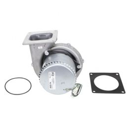 Lochinvar & A.O. Smith 100073294 Fan Assembly