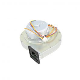Lochinvar & A.O.Smith 100074228 Fan Motor Kit