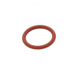 Lochinvar & A.O. Smith 100076308 O-Ring FKM