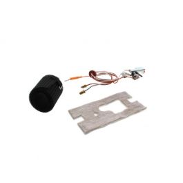 Lochinvar & A.O. Smith 100109298 Pilot Assembly FV 200°C