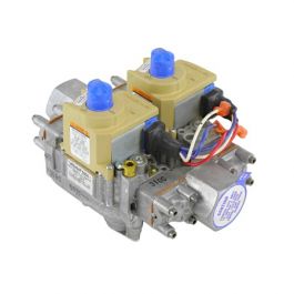 Lochinvar & A.O. Smith 100109936 Natural Gas Valve