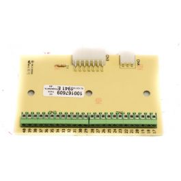 Lochinvar & A.O. Smith 100208481 Low Voltage Control Board