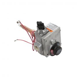 Lochinvar & A.O. Smith 100210087 Natural Gas Control Valve