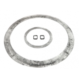 Lochinvar & A.O. Smith 100233643 Gasket