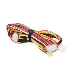 Lochinvar & A.O. Smith 100275616 Main Unit Wiring Harness