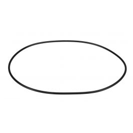 Lochinvar & A.O. Smith 100288873 Flue Gasket