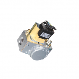 Lochinvar & A.O. Smith 100310375 Gas Valve Assembly