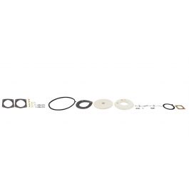 Lochinvar & A.O. Smith 100314926 Service Kit