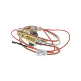 Lochinvar & A.O. Smith 100327015 Natural Gas Pilot Assembly
