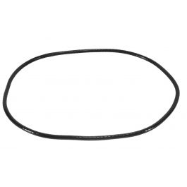 Lochinvar & A.O. Smith 100330202 Door Gasket