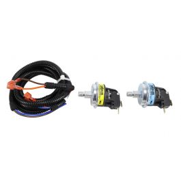 Lochinvar & A.O. Smith 100337748 High/Low Gas Pressure Switch