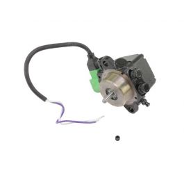 Wayne Combustion 101128-011 Combo Fuel Pump Assembly 12V
