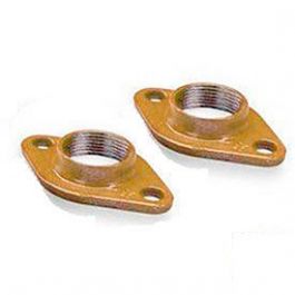 Xylem-Bell & Gossett 101510LF 2-1/2" Stainless Steel Flange Set