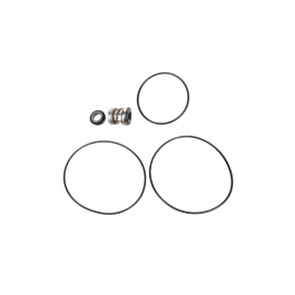 Xylem-Goulds Pumps 10K170 Seal Kit