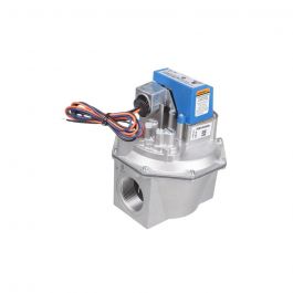 RBI Boiler 11-0173 Main Gas Valve