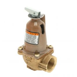 Xylem-Bell & Gossett 110754 Safety Relief Valve 60-PSI 790-3/4"