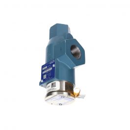 Parker Refrigeration Specialties 111625 Safety Relief Valve 300 PSI 1/2" X 3/4" CSR1
