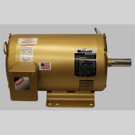 Daikin-McQuay 113102101 5Hp 230/460V 1800Rpm Odp Motor