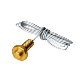 Automation Components Inc (ACI) 119984 3-Wire Brass Button Sensor 100 Ohm