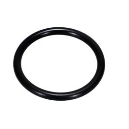 Xylem-Bell & Gossett 122423 B&G Gasket O-Ring