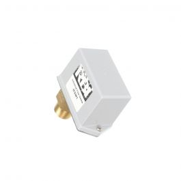 RBI Boiler 14-0202 Flow Switch