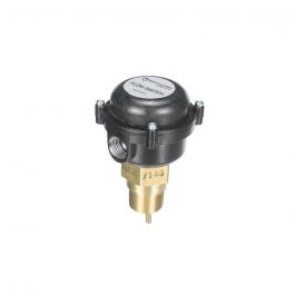 RBI Boiler 14-0205 Flow Switch