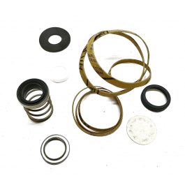 Spirax-Sarco 142-54055 7/8" S Type Seal Kit